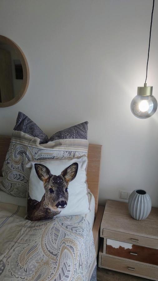 Maurers Schlierseetraum 6, Studio 455 Mit 42 Qm Neu Renoviert, Erdgeschoss Mit Eingezaeunter Terrasse In Ruhiger Lage Am Kirchbichlweg 8 Buitenkant foto